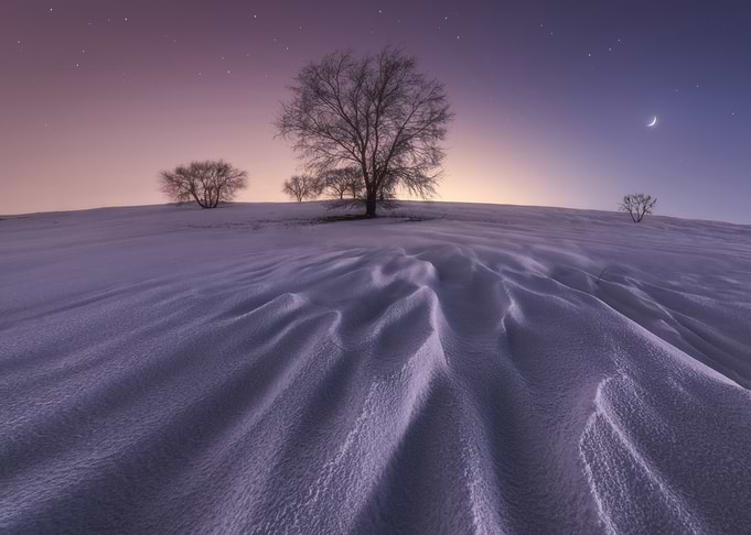 Winter Night Landscape with Crescent Moon