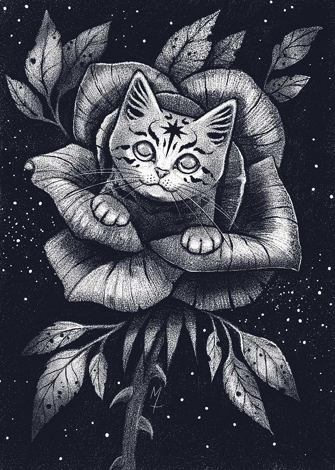 Cat in a Rose