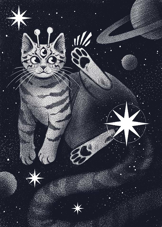 Cosmic Cat