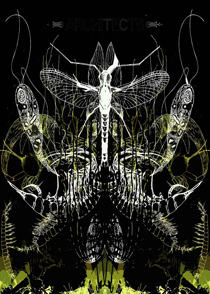 Architects Band Art