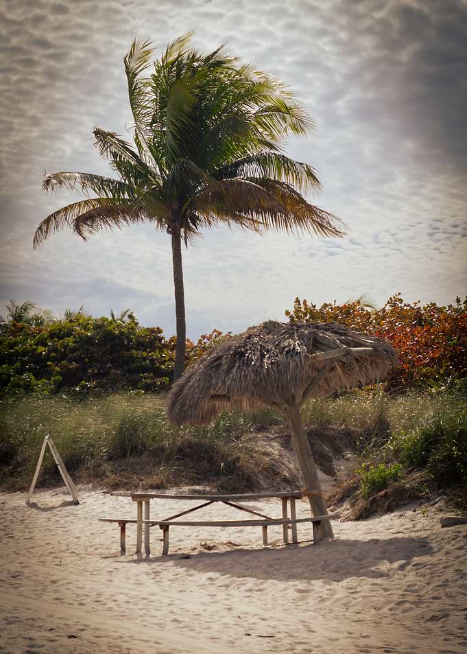 Tropical Beach Picnic Scene