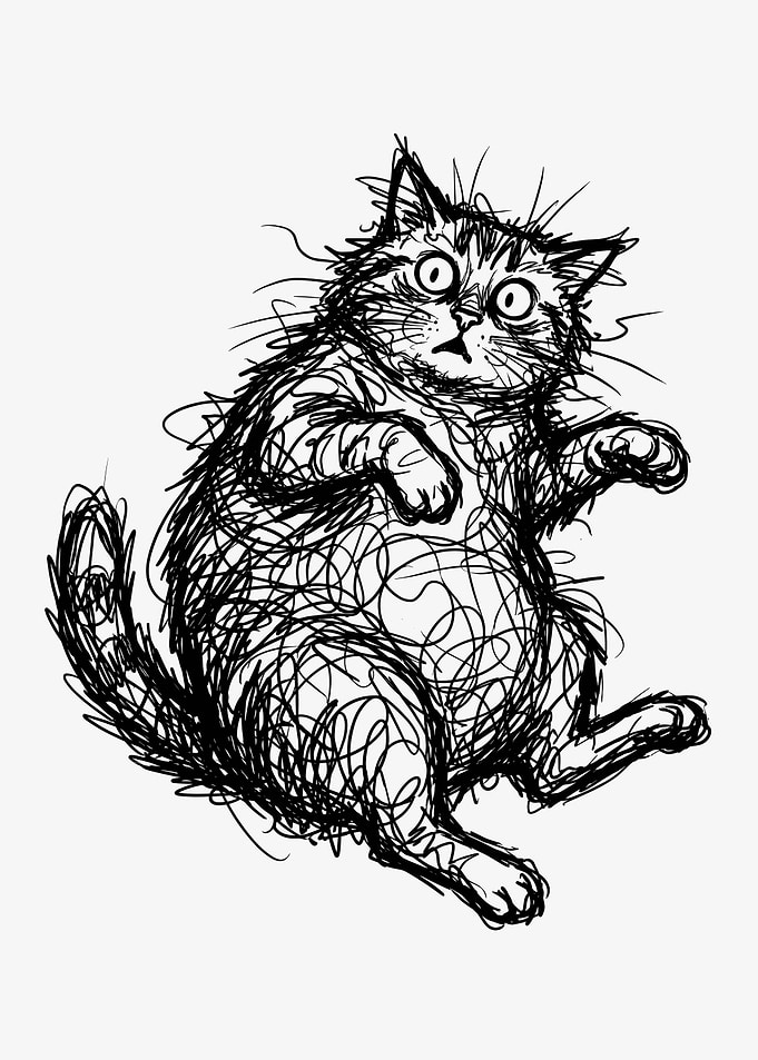 Scared Fluffy Cat Sketch