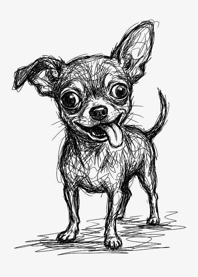 Sketch of a happy Chihuahua dog