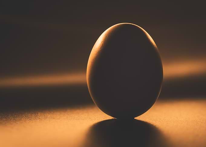 Single Egg in Dramatic Lighting