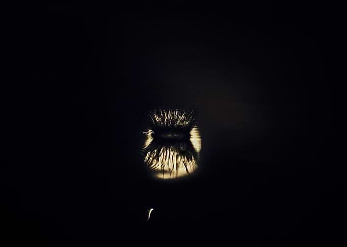 Raindrop Splash Dark