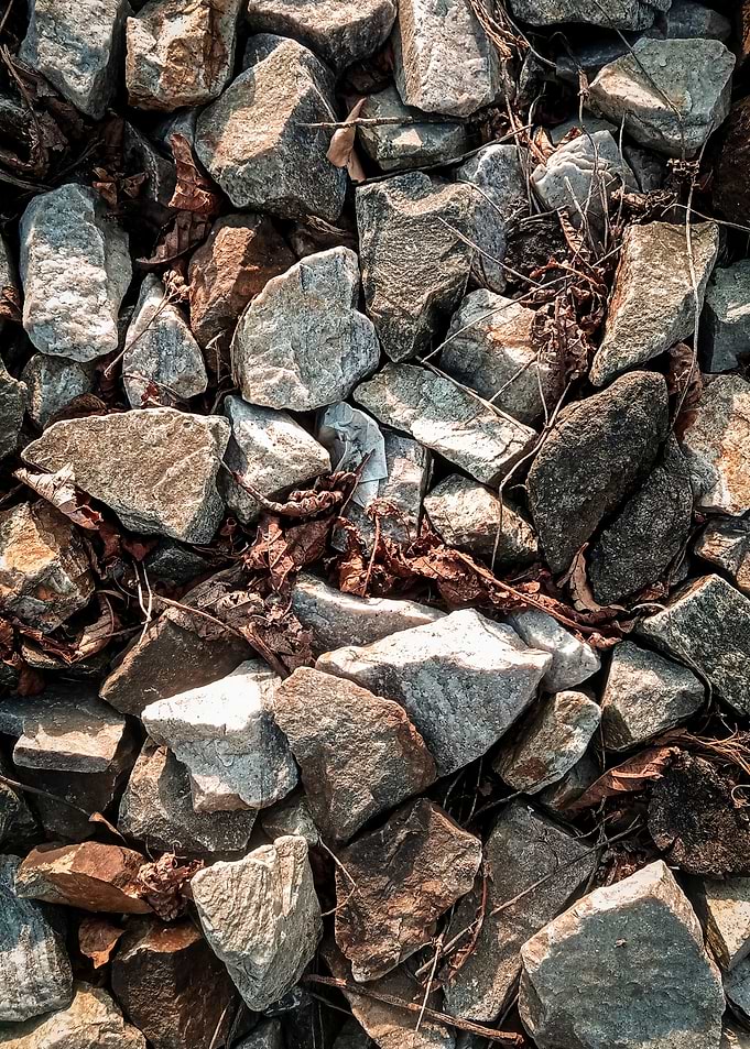 Close-up of rocks and leaves