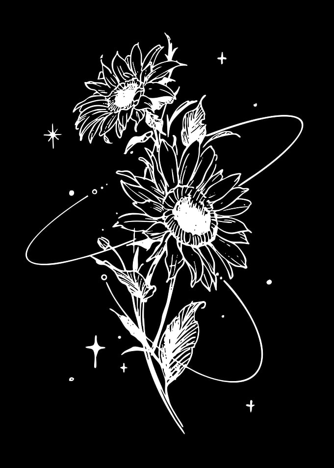 Cosmic Sunflowers with Stars