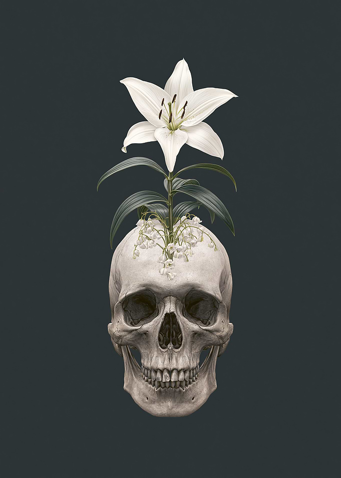 Skull with Flowers