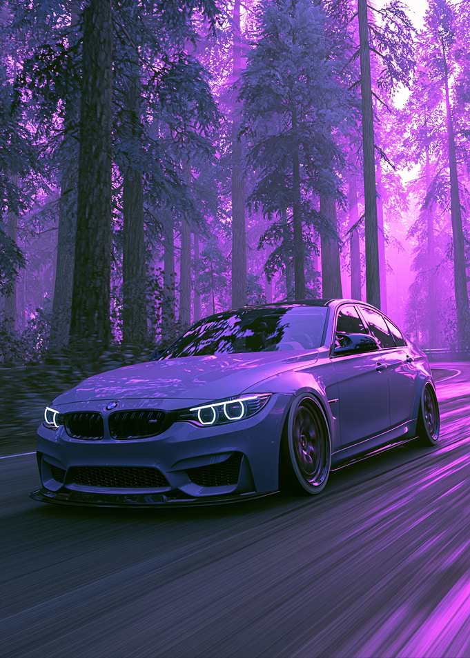 Purple Forest Car Drive