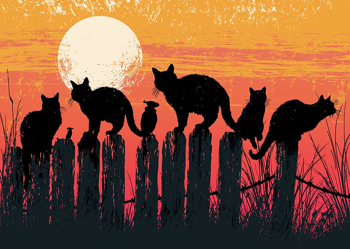Black cats on a fence at sunset