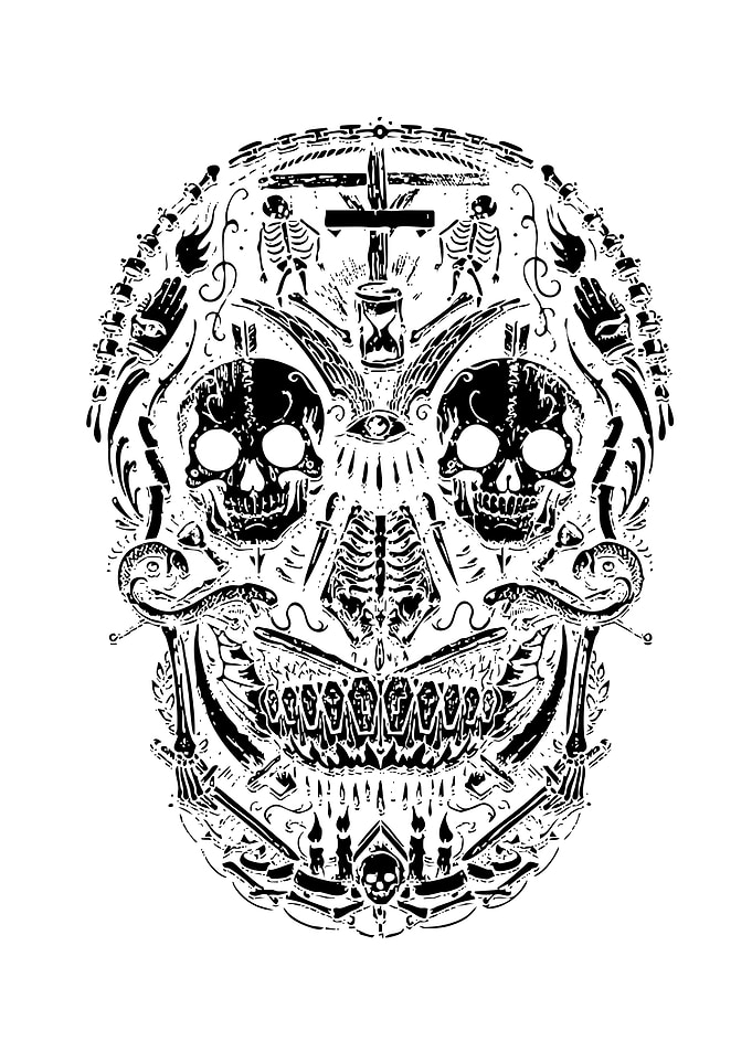 Intricate Skull Art