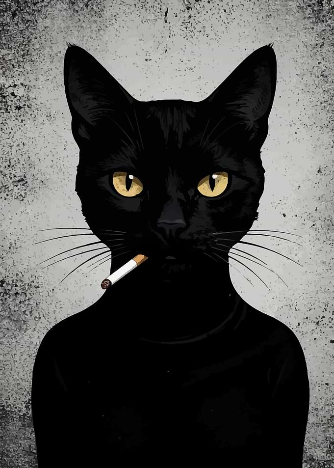 Black Cat Smoking a Cigarette