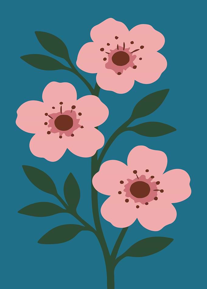 Pink Cherry Blossoms on Teal Background
