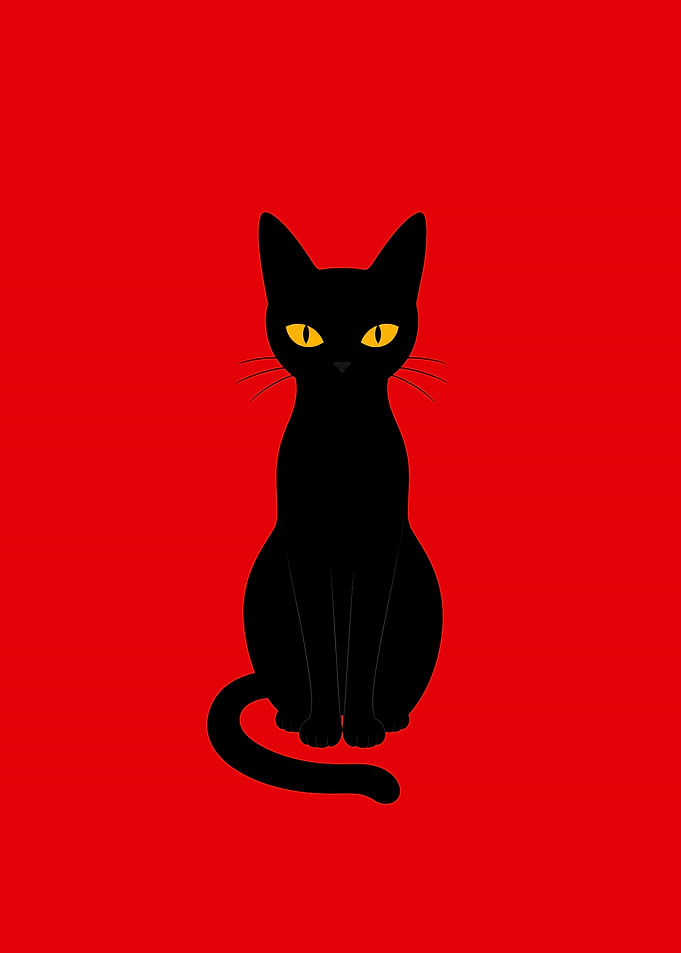 Black Cat with Yellow Eyes on Red Background