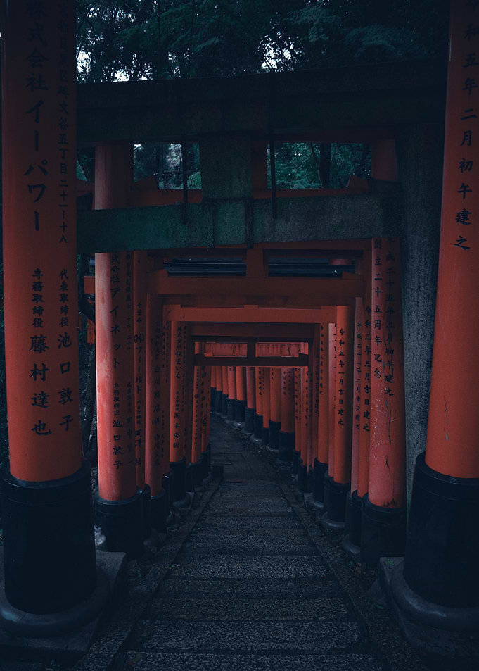 Torii Gates Path in Forest