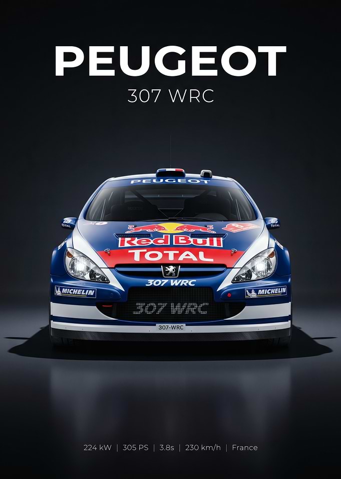 Peugeot 307 WRC Rally Car