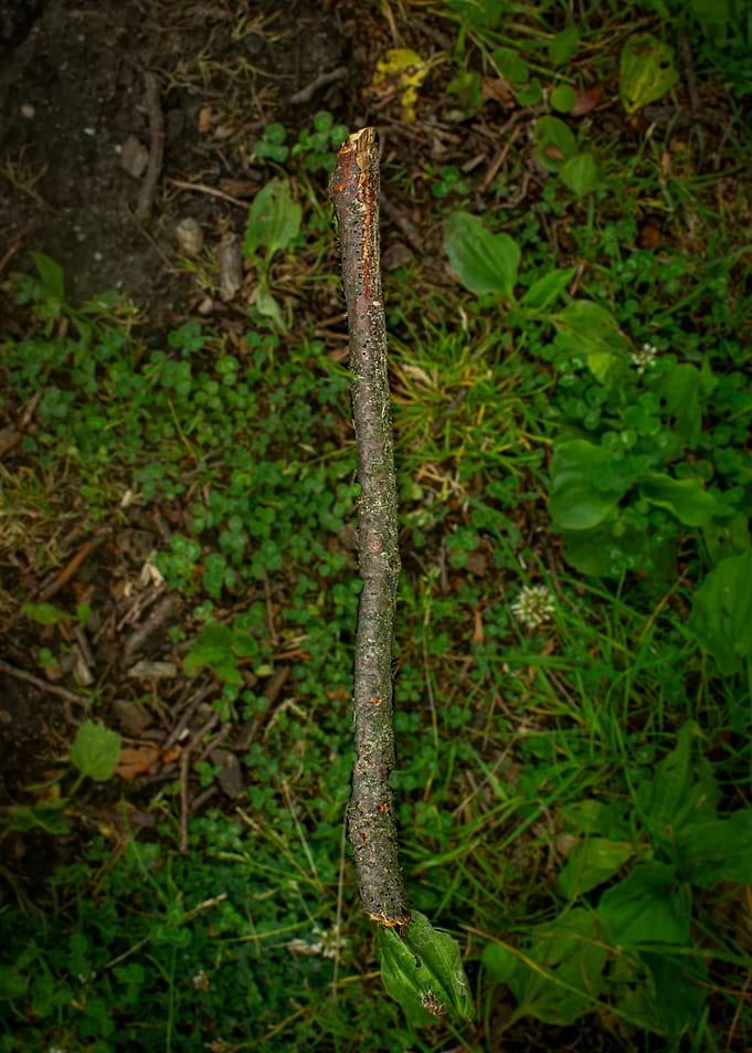 A single stick on the ground
