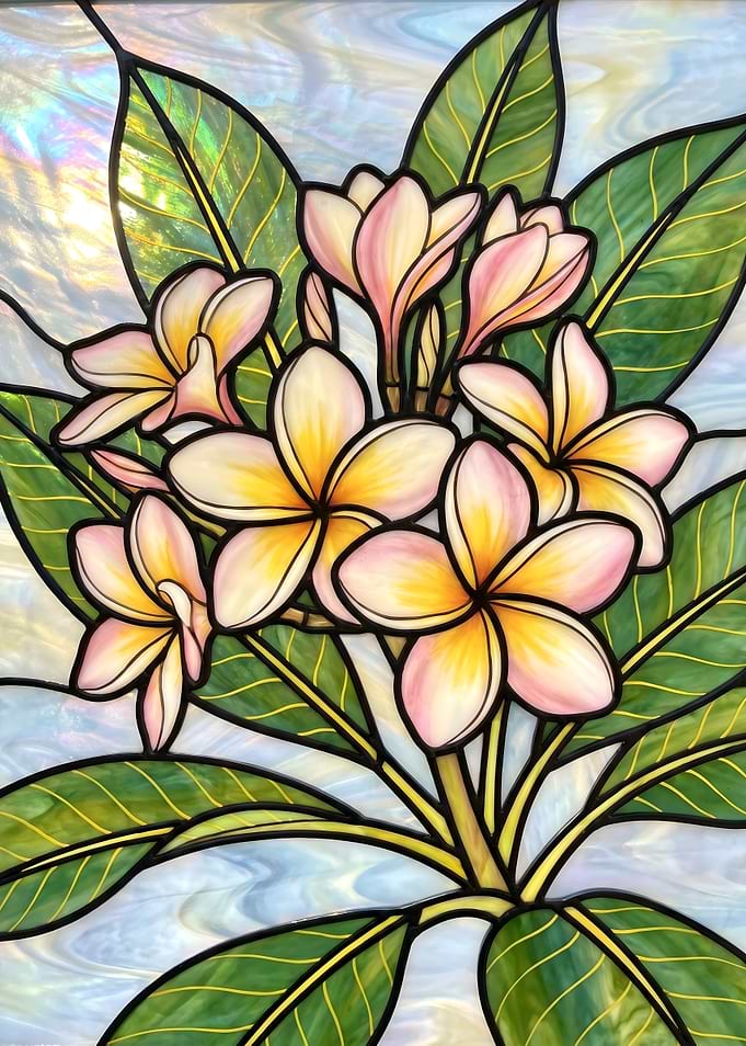 Yellow Plumeria Flowers