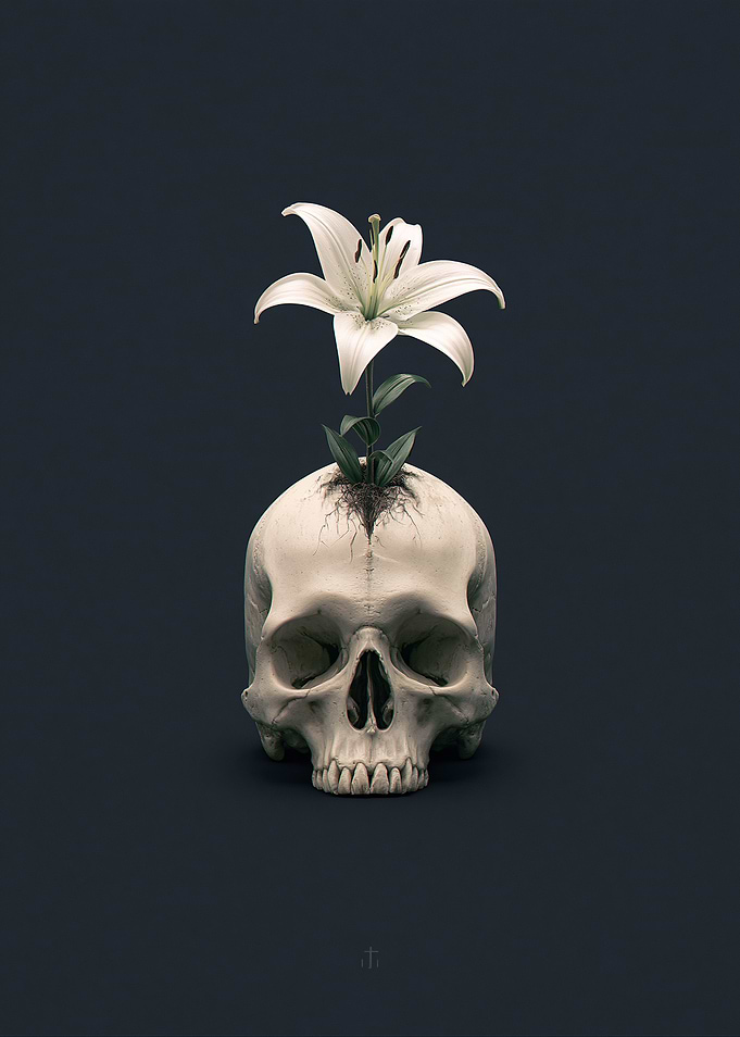 Lily Growing from Skull