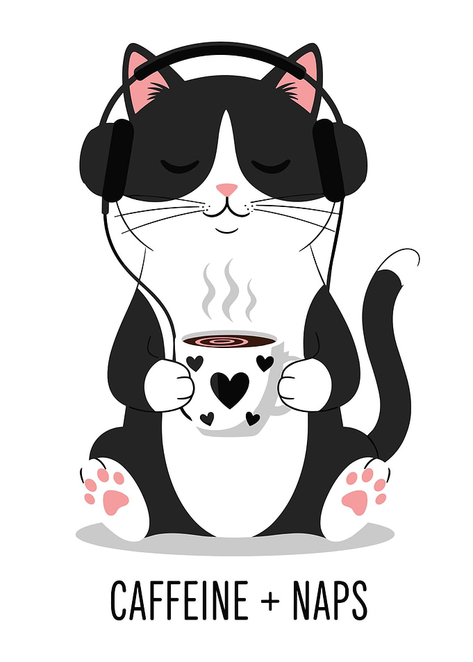 Cat with Headphones and Coffee