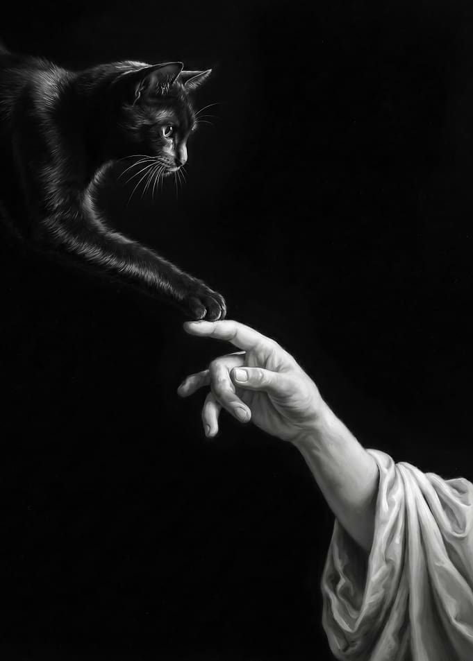 Black Cat Creation of Adam Parody