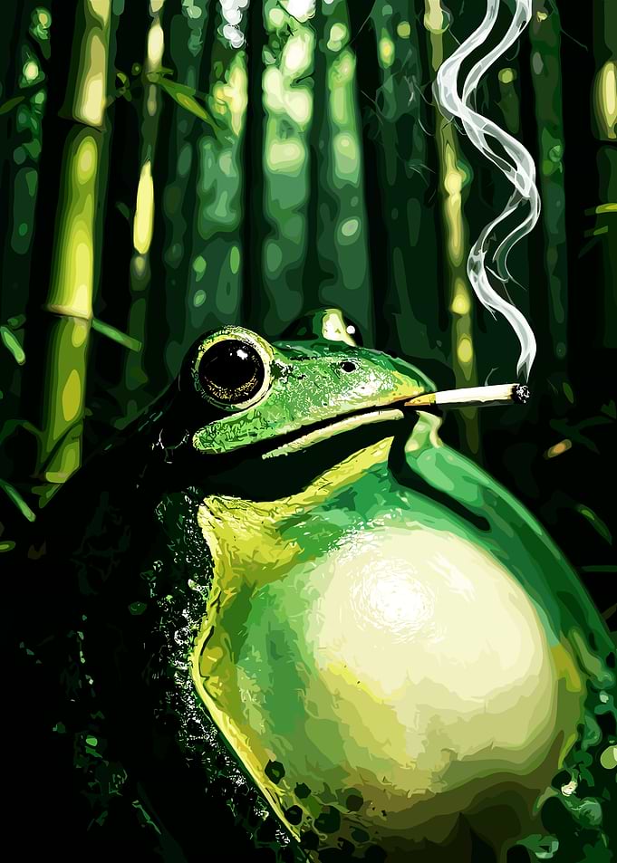 Frog Smoking in Bamboo Forest