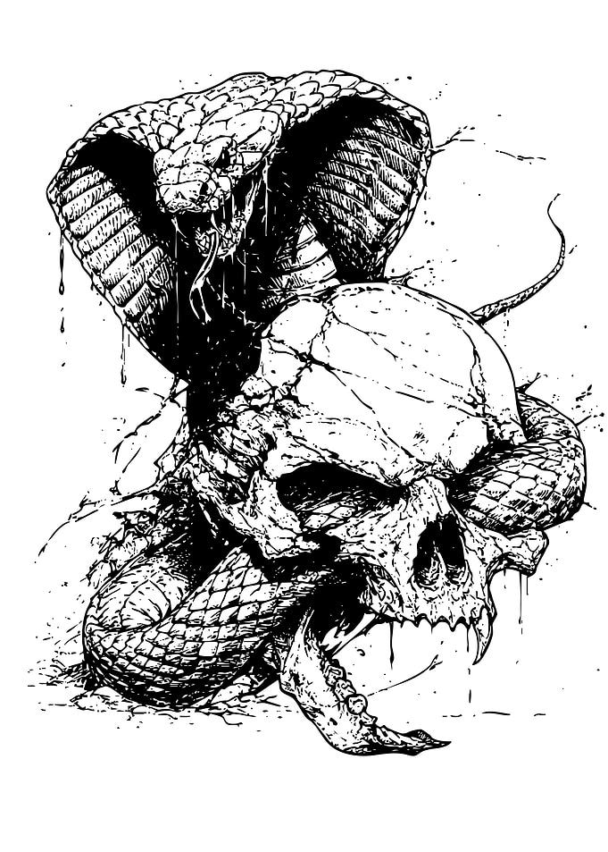 Cobra and Skull Illustration