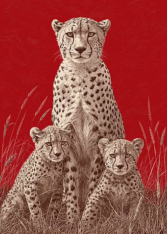 Cheetah Family in Red Background