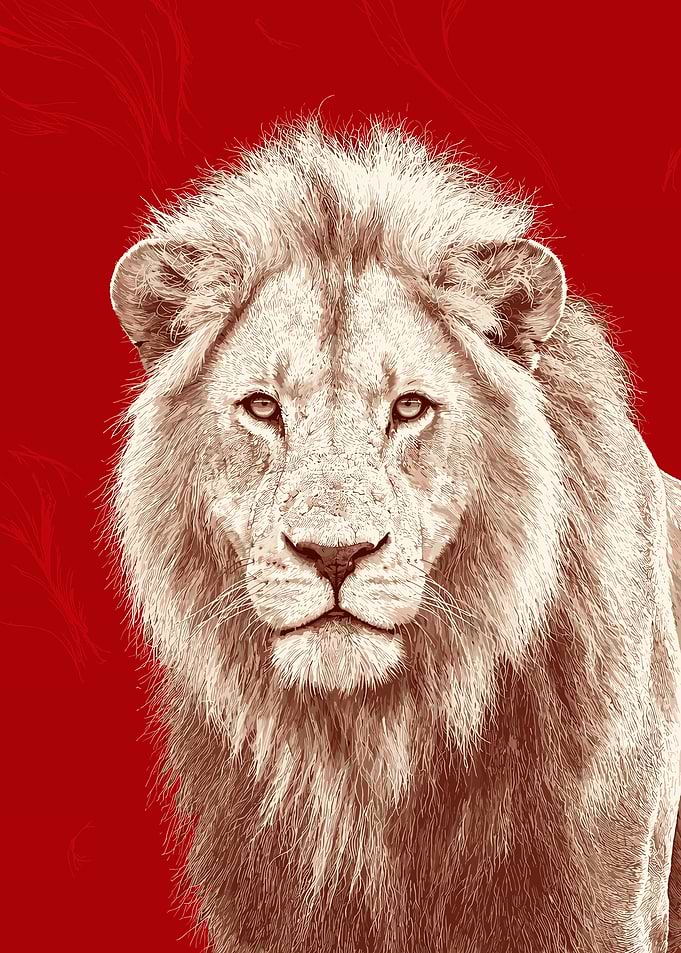 Majestic Lion Portrait