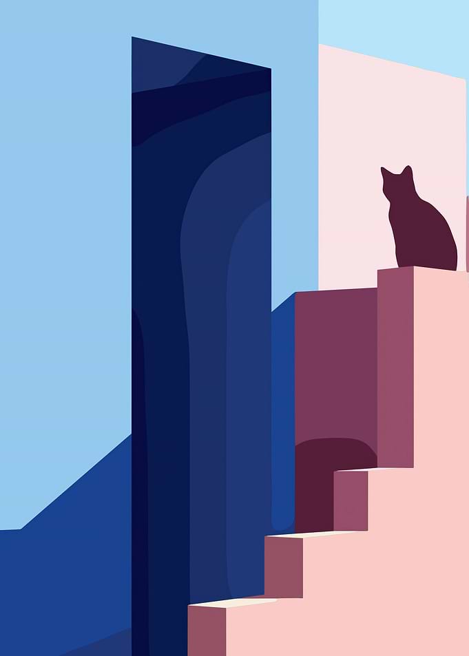 Cat on a pink staircase