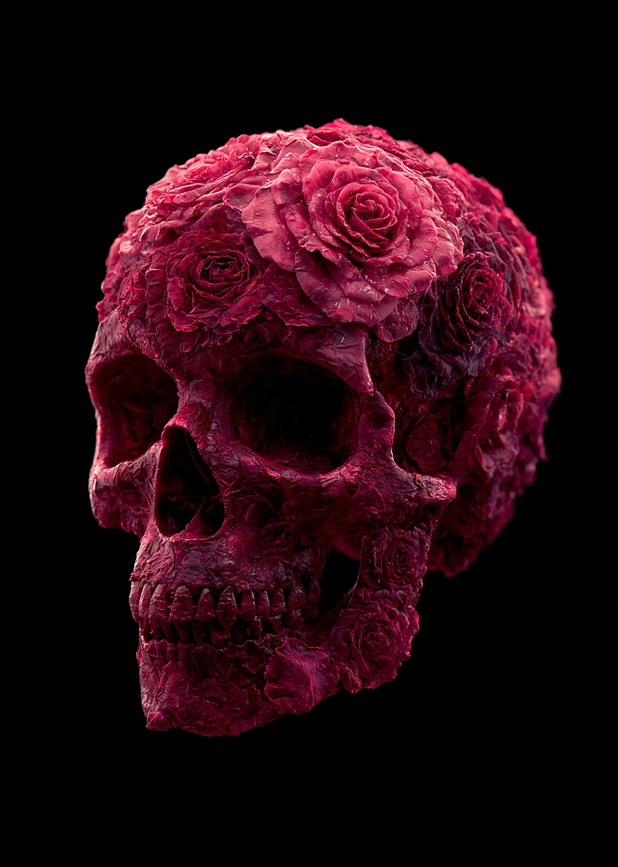 Skull covered in red roses
