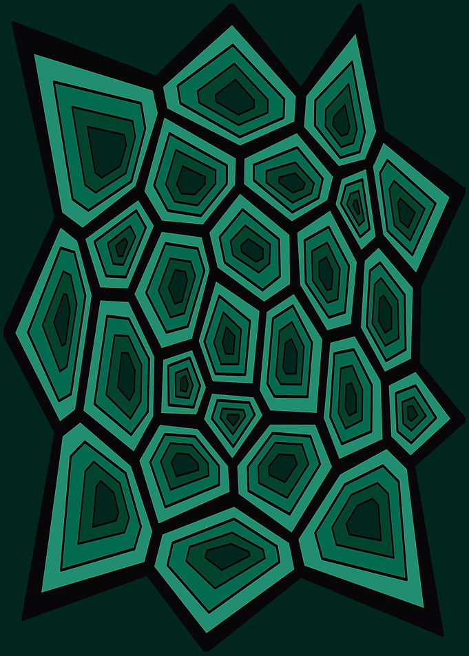 Abstract Geometric Turtle Shell Pattern