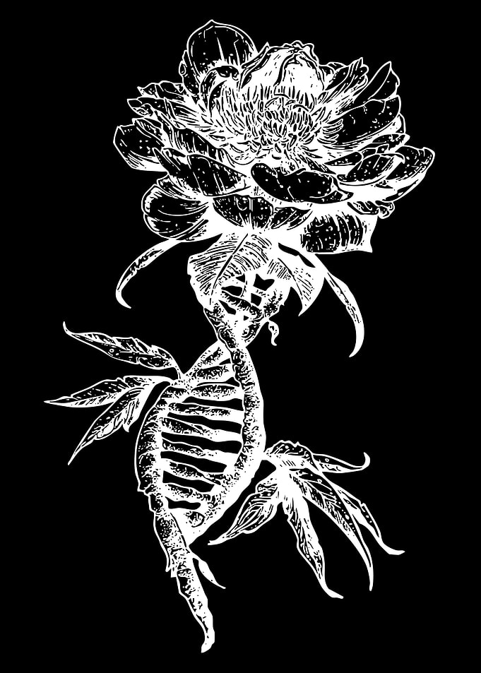 Flower and DNA Helix