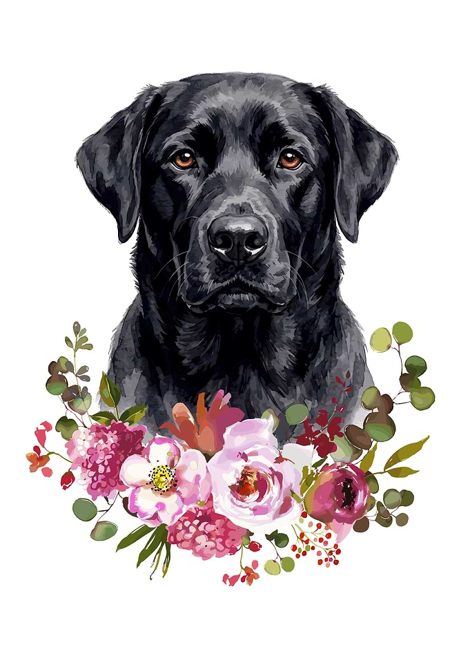 Black Labrador with Floral Wreath