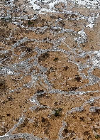 Foamy Water Surface