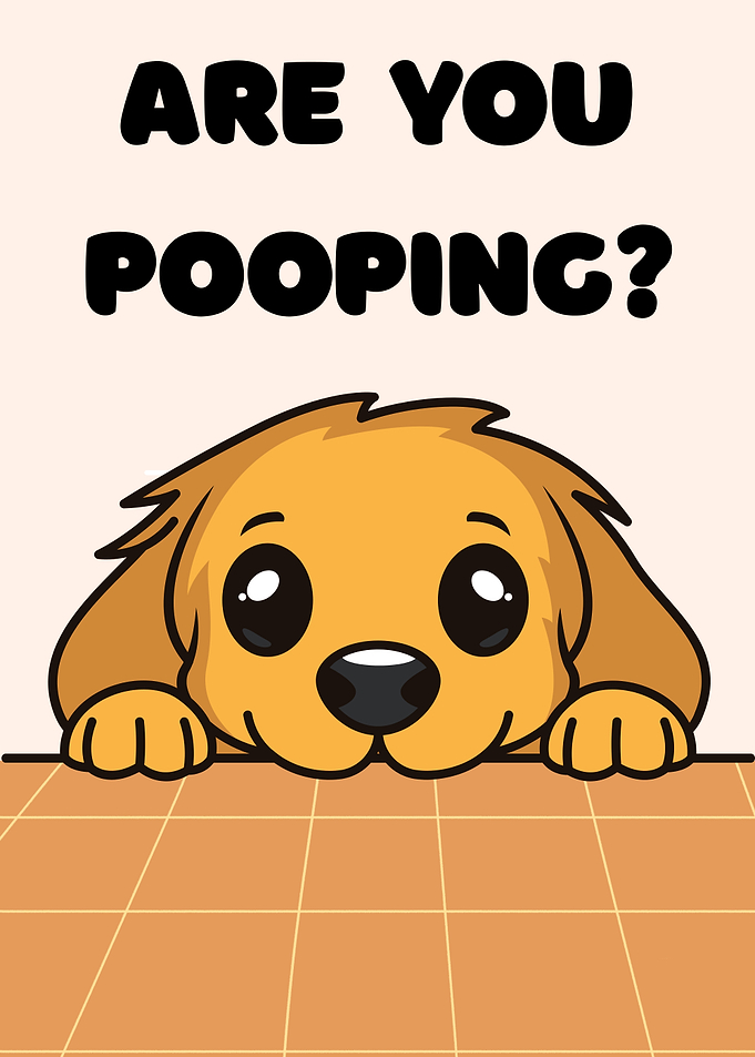 Cute Dog Asks 'Are You Pooping?'