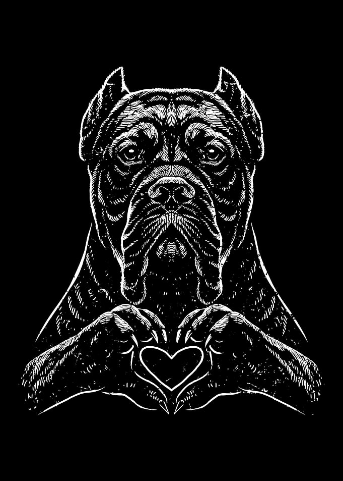 Cane Corso Guardian