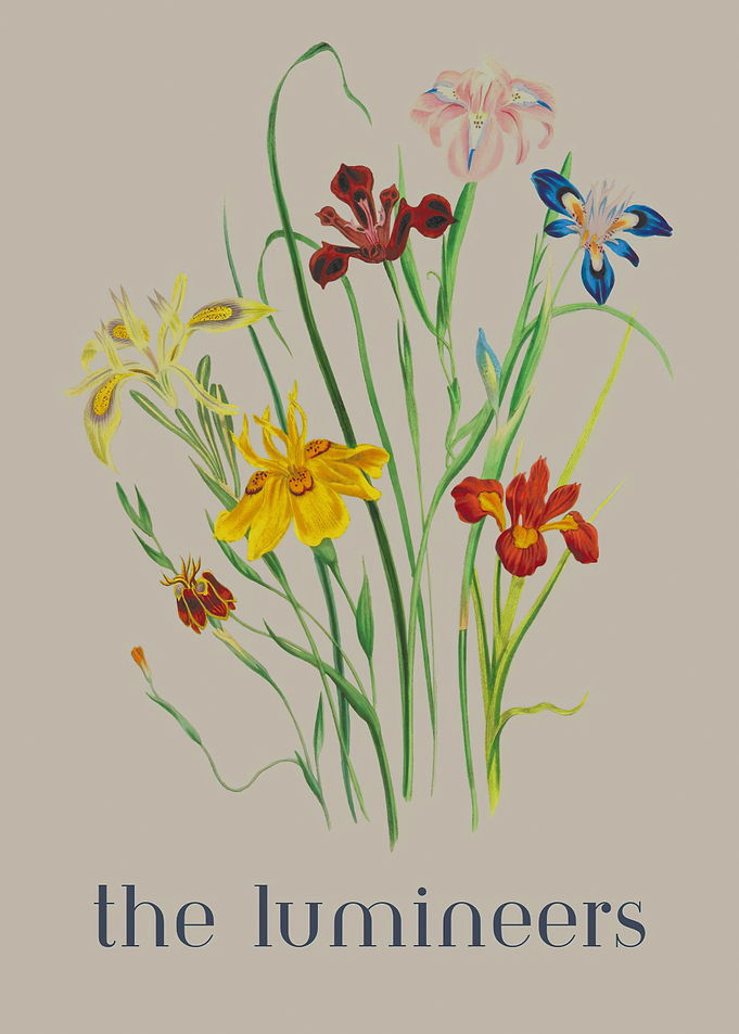 The Lumineers floral album art