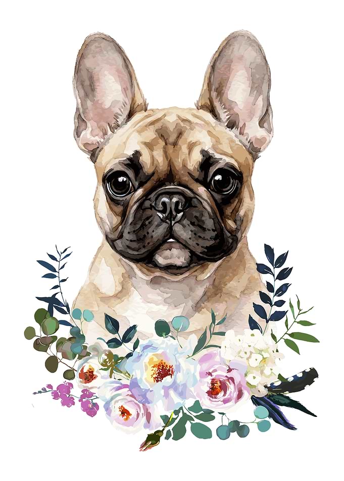 French Bulldog with Flowers