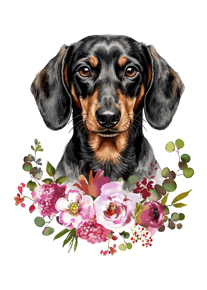 Dachshund with Flowers