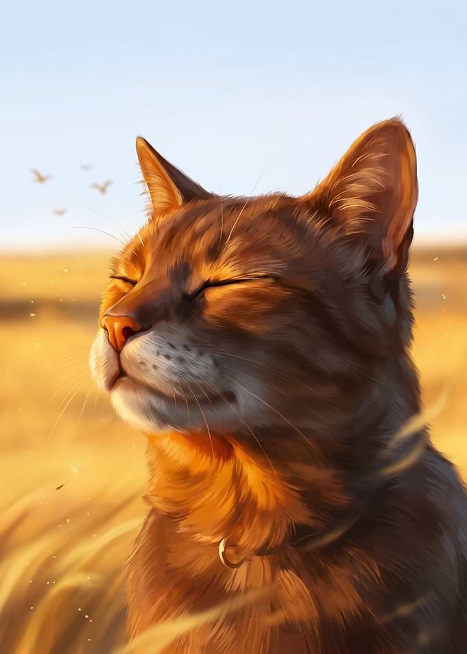 Inner peace Cat