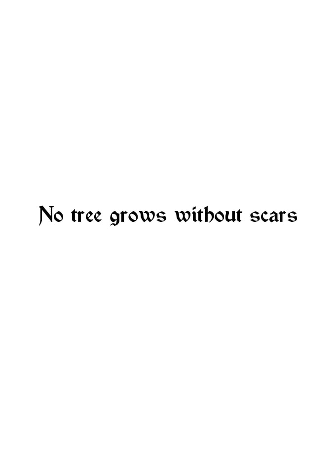 No tree grows without scars quote
