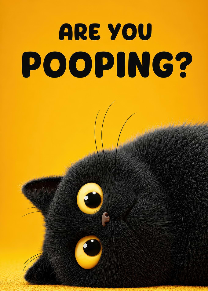 Funny Black Cat Asks 'Are You Pooping?'