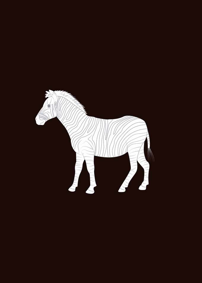 Minimalist Zebra Illustration