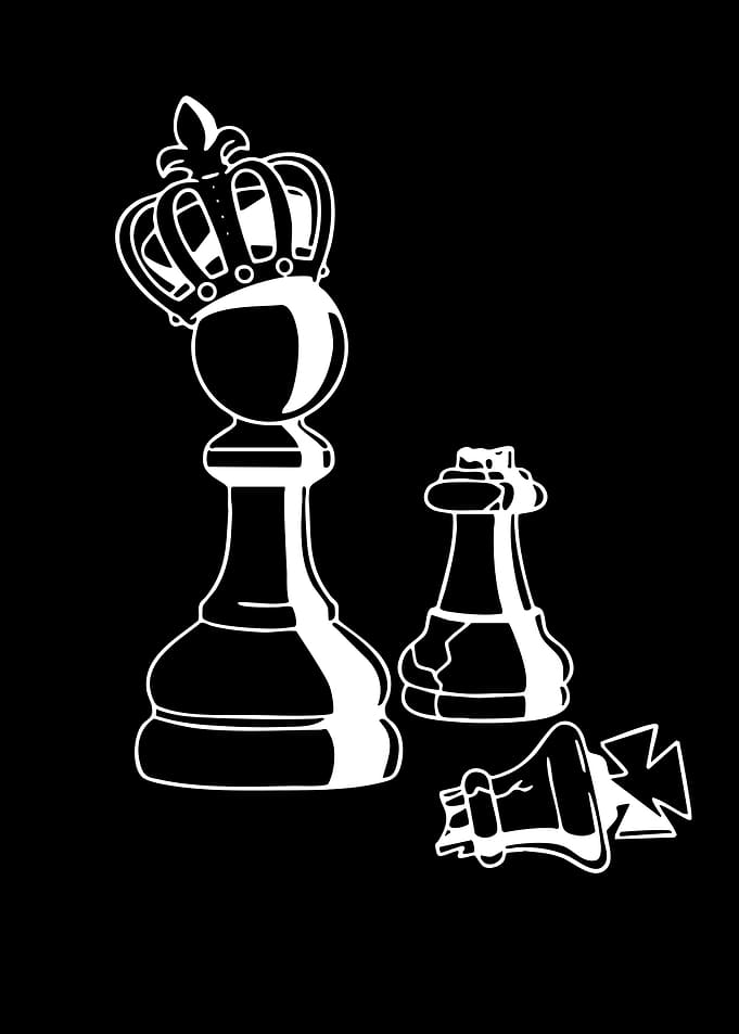 Chess King and Fallen Pieces