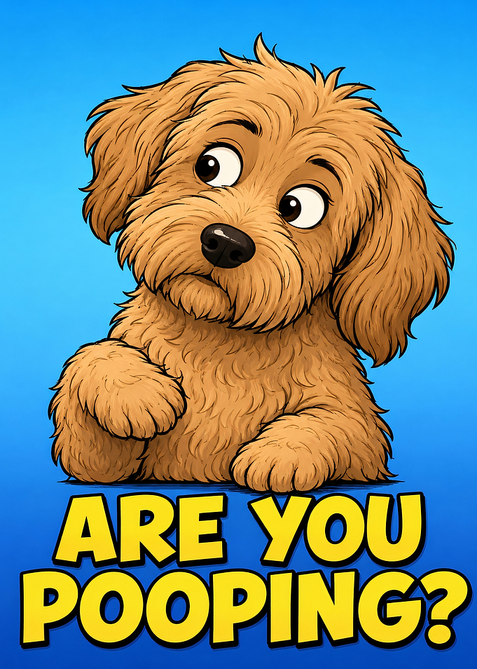Cute Dog Asks 'Are You Pooping?'