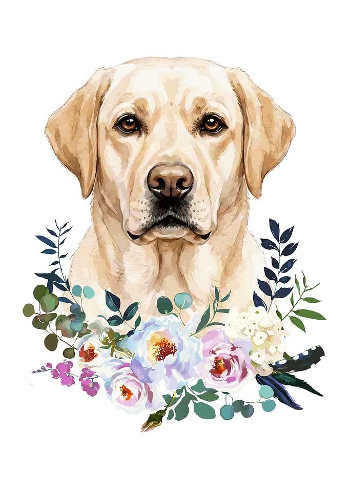Labrador Retriever with Flowers