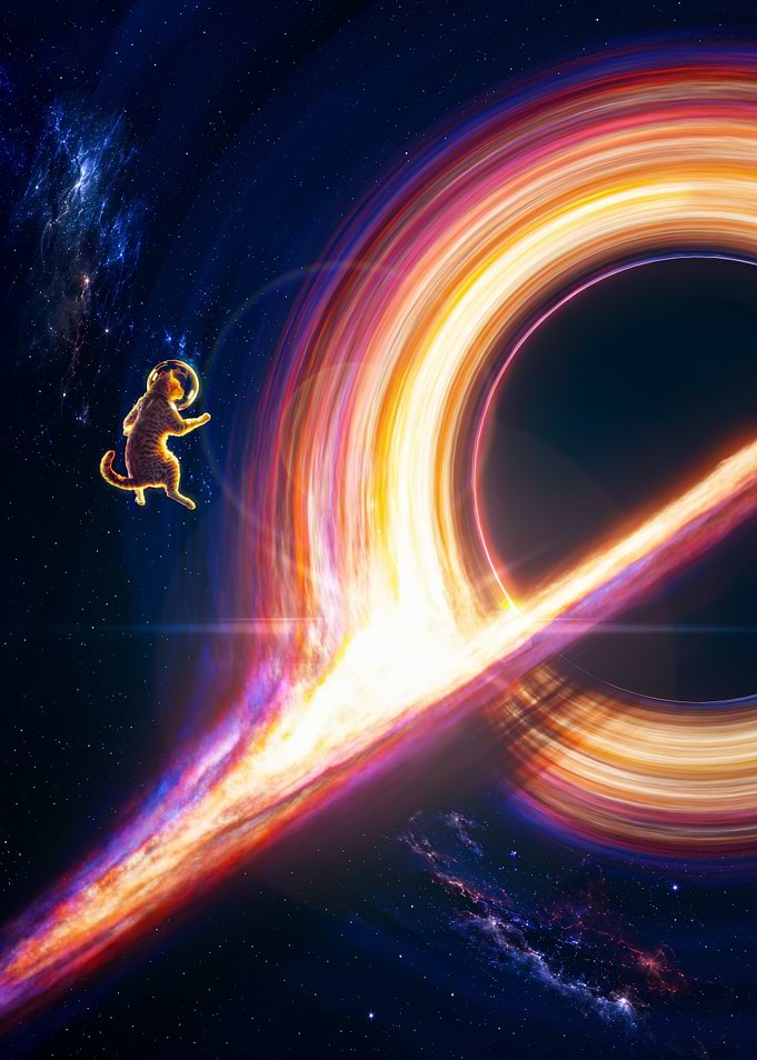 The Last Meow Before Infinity