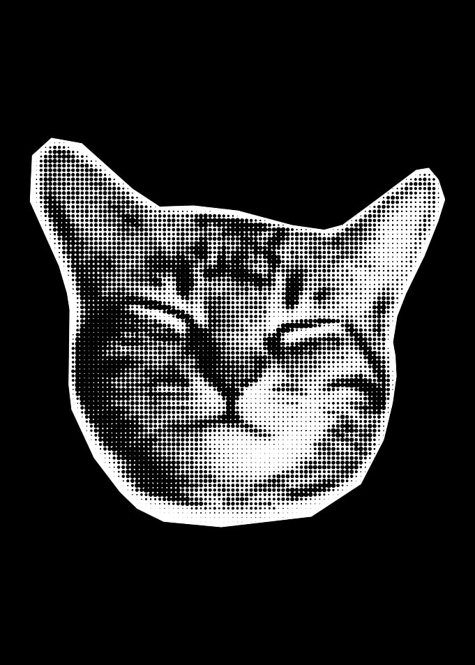 Cat Face funny art