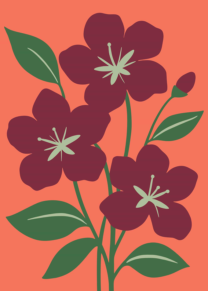 Minimalist Floral Illustration
